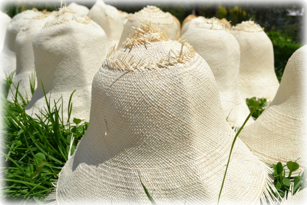 Hats-drying-in-the-sun